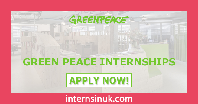 Greenpeace Internship