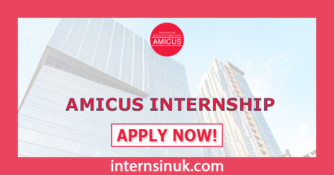 Amicus Internship