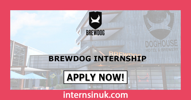 Brewdog Internship