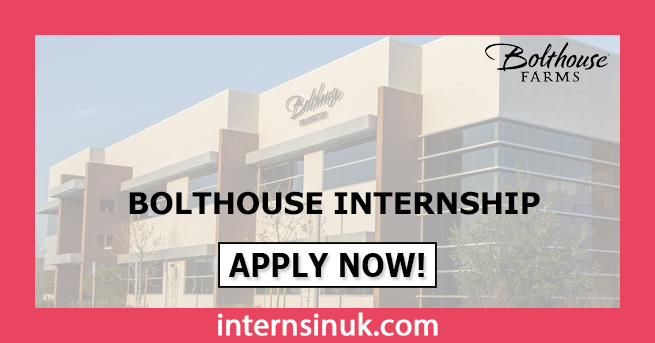 Bolthouse Internship